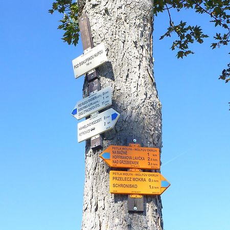 Dom Wsrod Gwiazd Villa Jarnołtówek Kültér fotó