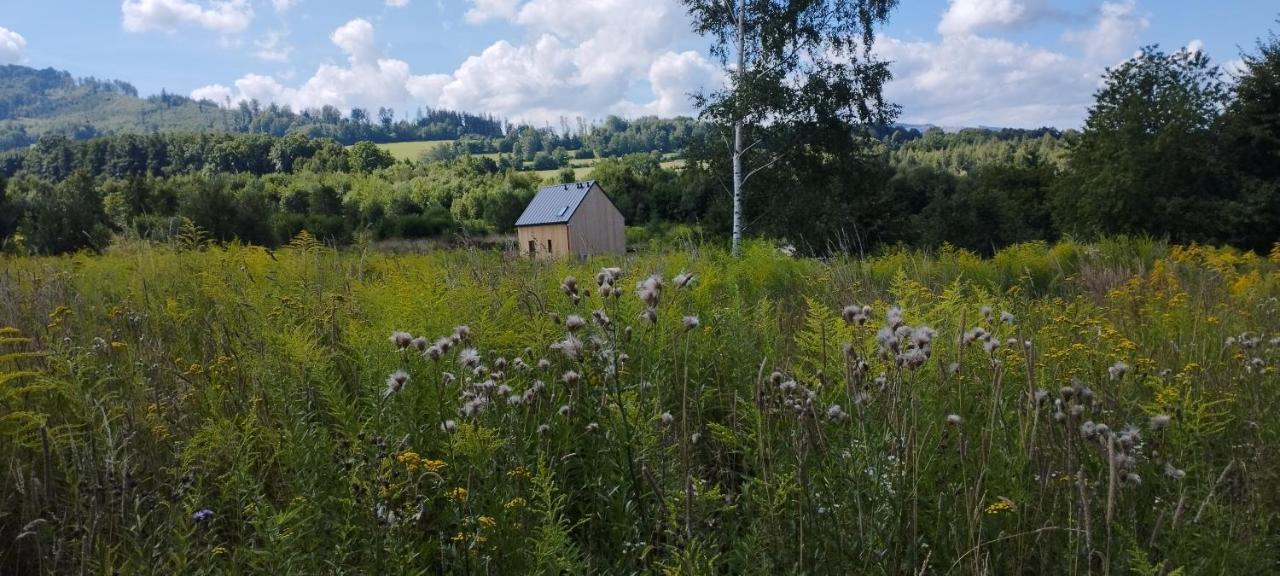 Dom Wsrod Gwiazd Villa Jarnołtówek Kültér fotó